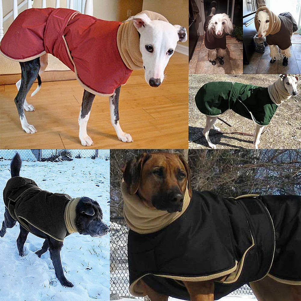 Cosy Waterproof Dog Coat - Warm & Adjustable Jacket for Autumn & Winter, Medium & Large Breeds