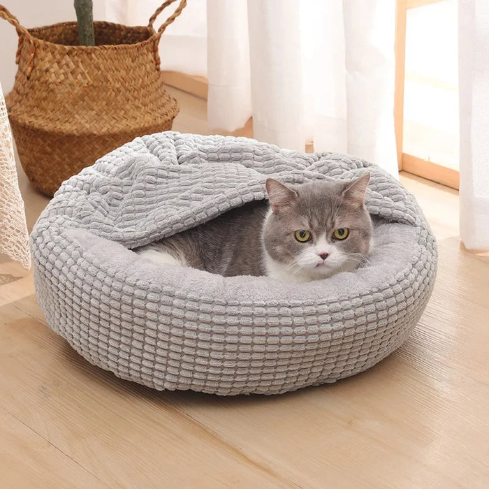 Cat lying in a gray pet bed on a wooden floor with a plant and curtain in the background