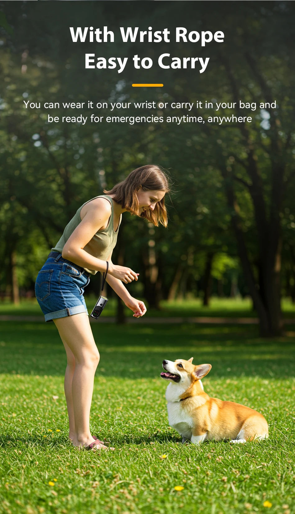 Ultrasonic Dog Repeller – Rechargeable Anti-Barking & Training Device with LED Flashlight