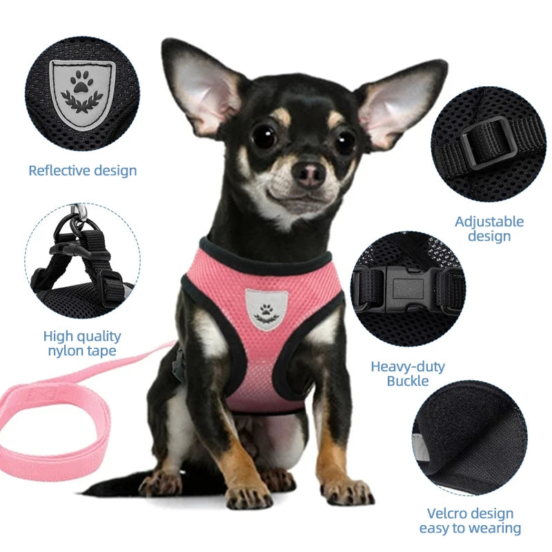 Adjustable Mesh Cat & Dog Harness Vest with Leash for Small to Medium Pets