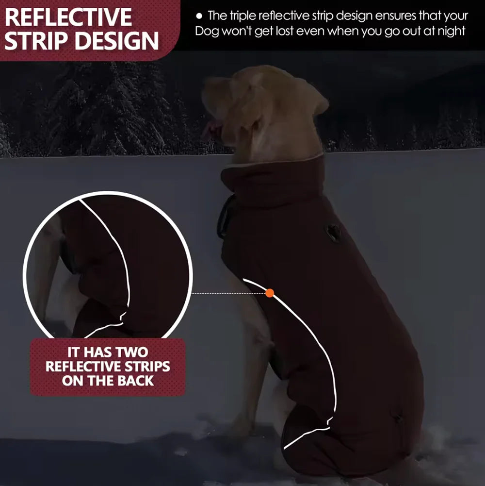 Dog wearing a reflective strip design jacket with text explaining its features.