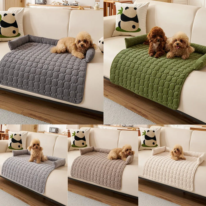 Collage of a dog sitting on a quilted pet bed in various colors on a sofa.