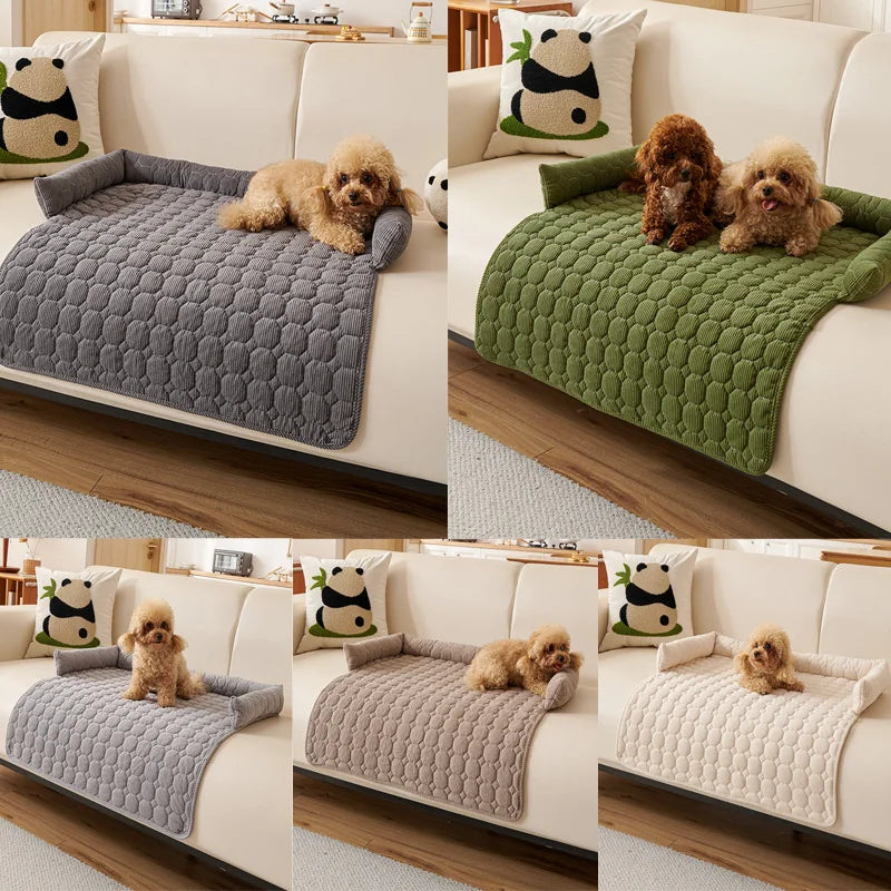 Collage of a dog sitting on a quilted pet bed in various colors on a sofa.