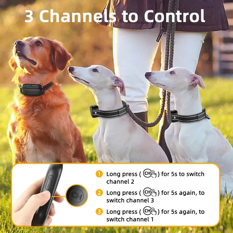 Remote Control Dog Training Collar: Rechargeable & Waterproof