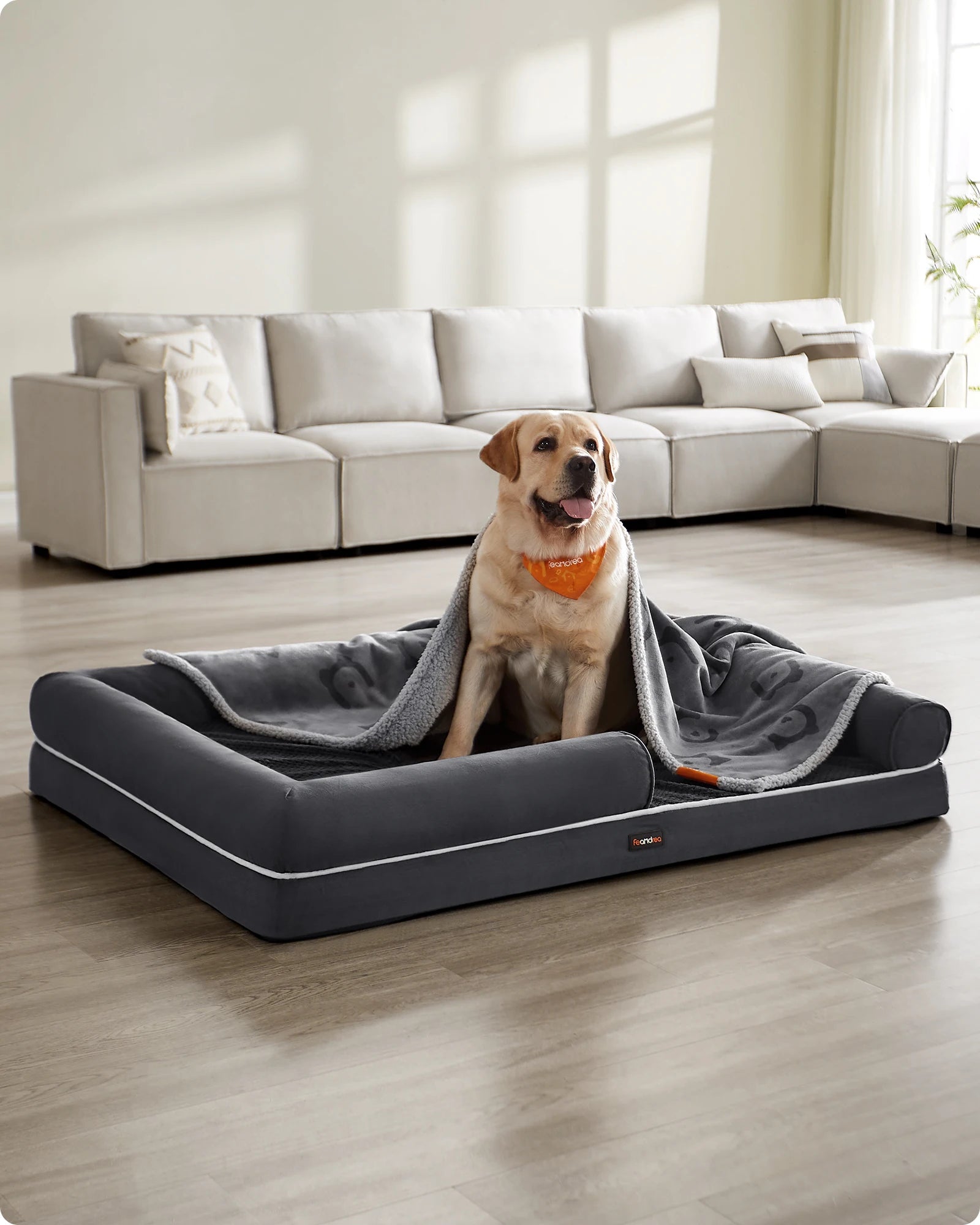 Orthopedic Dog Bed with Supportive Sides, Washable Cover, Non-Slip Base - Extra Large 135x107x25cm for Ultimate Comfort