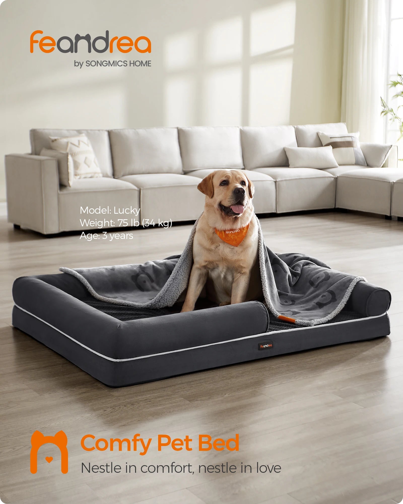 Orthopedic Dog Bed with Supportive Sides, Washable Cover, Non-Slip Base - Extra Large 135x107x25cm for Ultimate Comfort