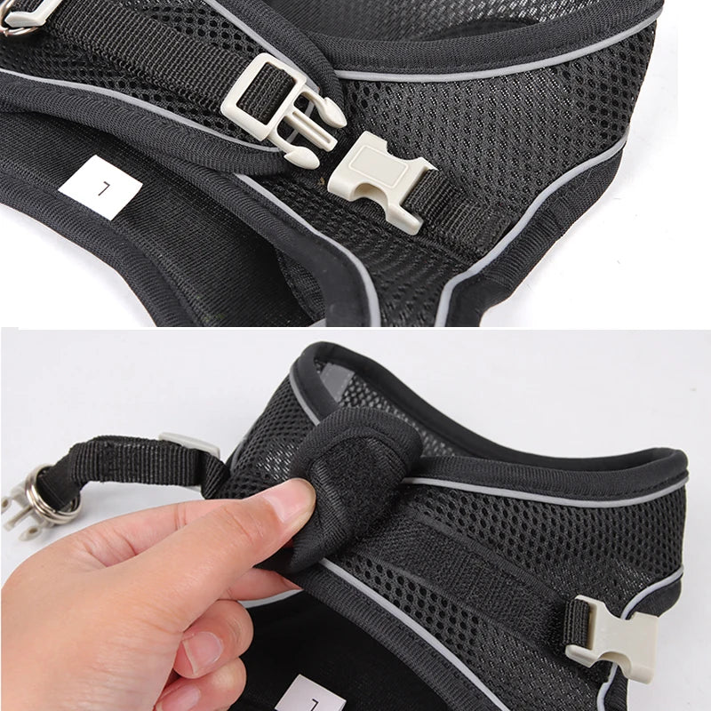 Adjustable Harness and Leash Set for Small Dogs