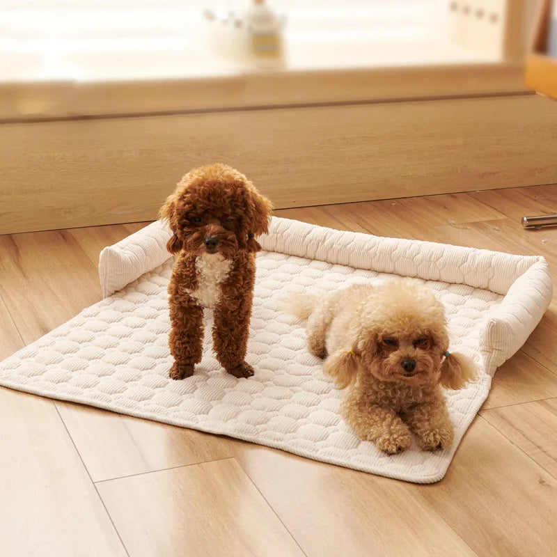 Two small dogs on a quilted mat in a room with wooden flooring.