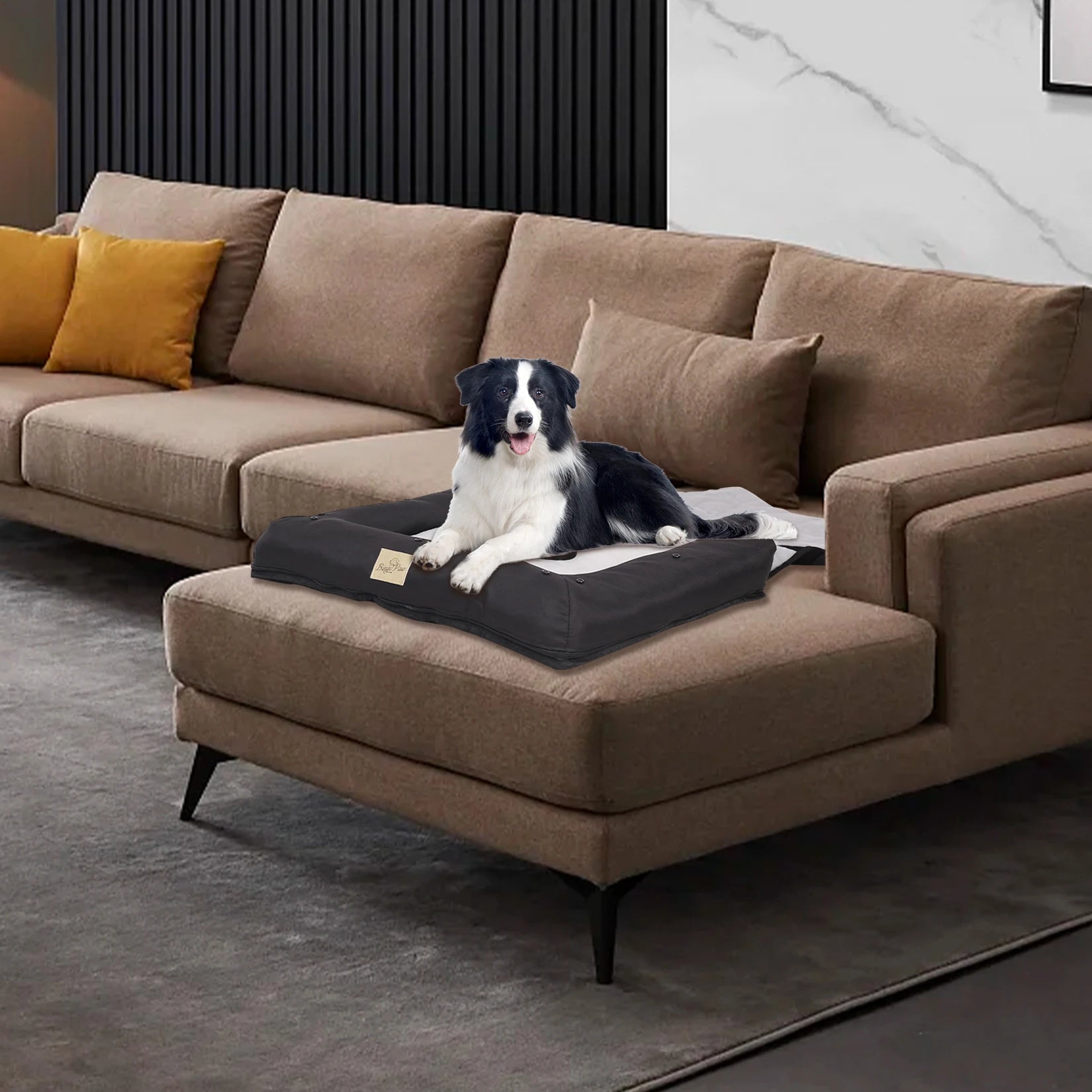 Dog lying on a pet bed in a living room with a brown sectional sofa.