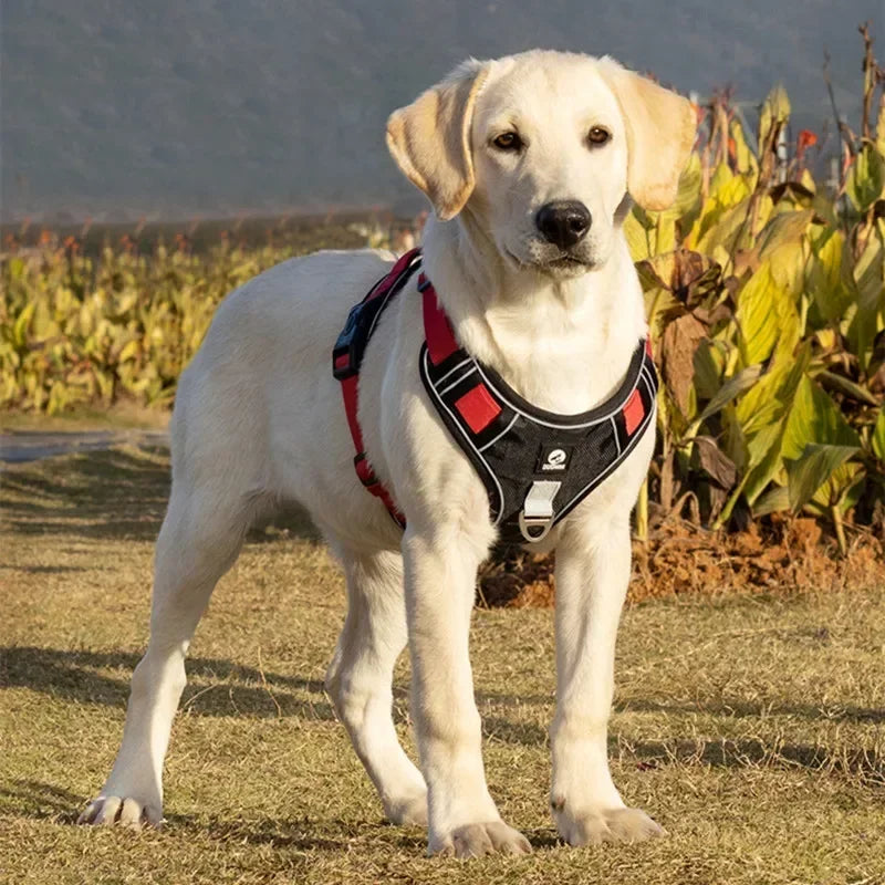 Adjustable Reflective Dog Harness Vest - Safety Training & Walking Gear for Small to Large Dogs