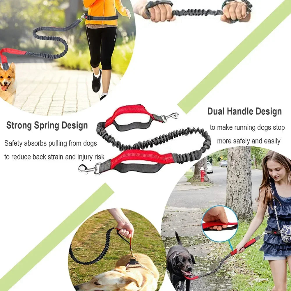 Hands-Free Retractable Dog Leash with Adjustable Waist Rope