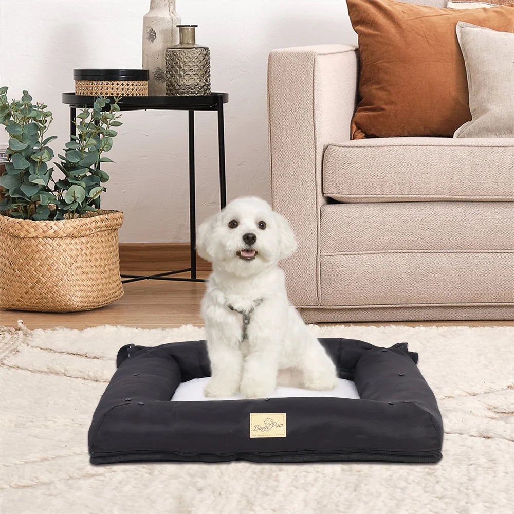 White dog sitting on a black pet bed in a living room.