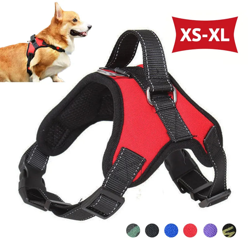 Adjustable Dog Harness