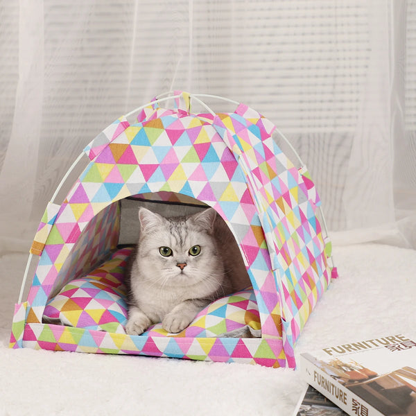Happy Cat on Bed