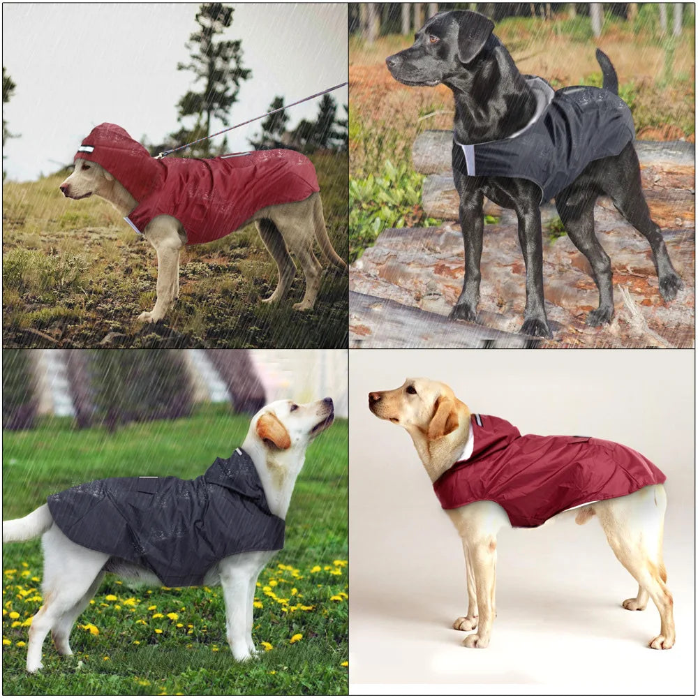 Dog Raincoat