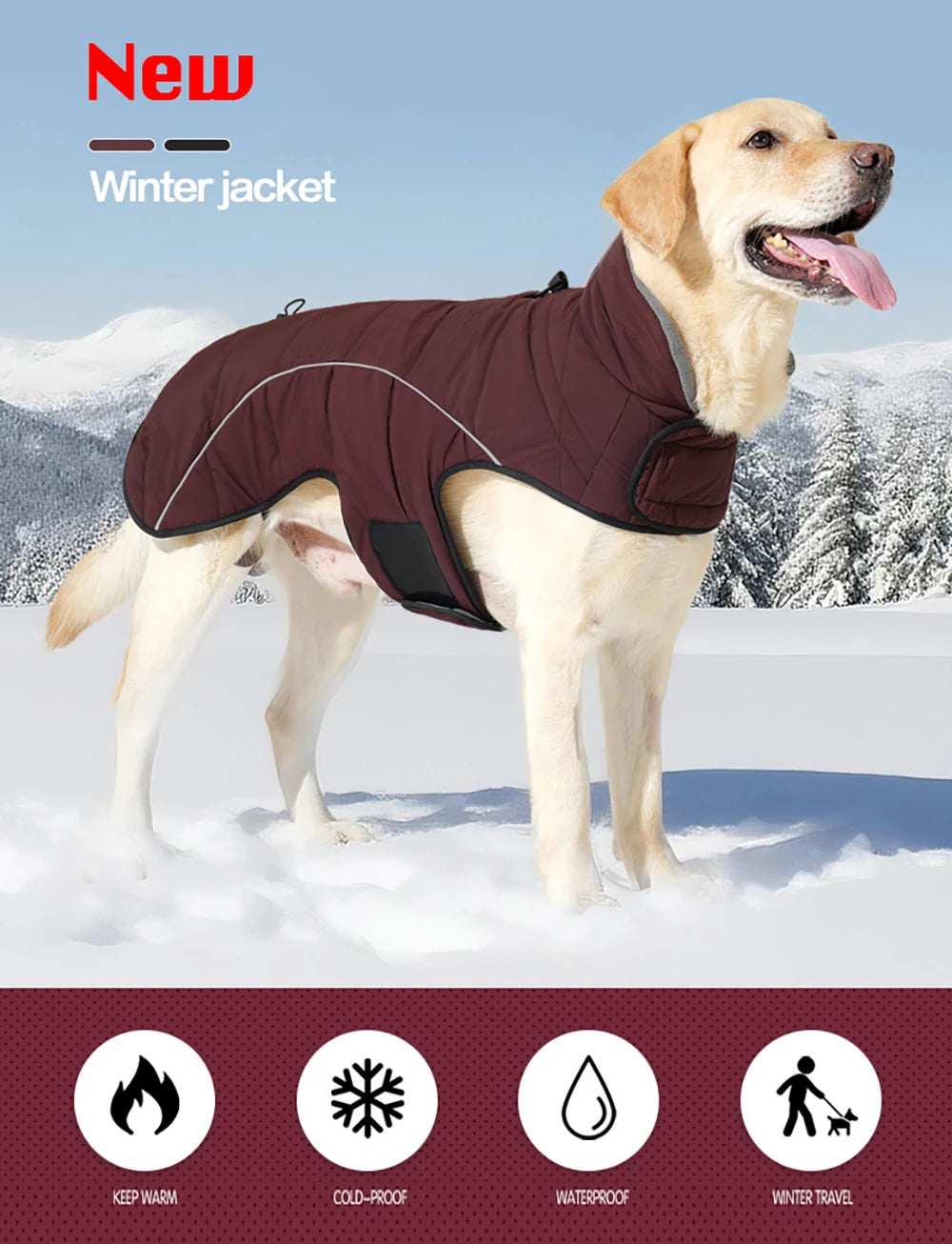 Dog wearing a winter jacket in a snowy landscape with product features highlighted.
