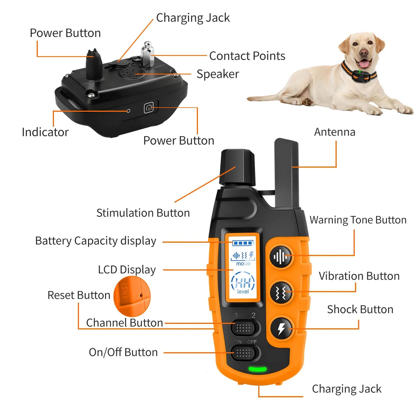 Electric Dog Training Collar – Waterproof & Rechargeable with Remote Control