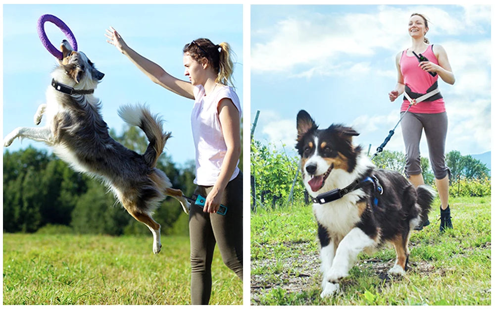 Smart Dog Training Collar with Remote – Long Range, Anti-Bark, Beep, Vibration, Shock & Light Modes | Waterproof & Rechargeable!