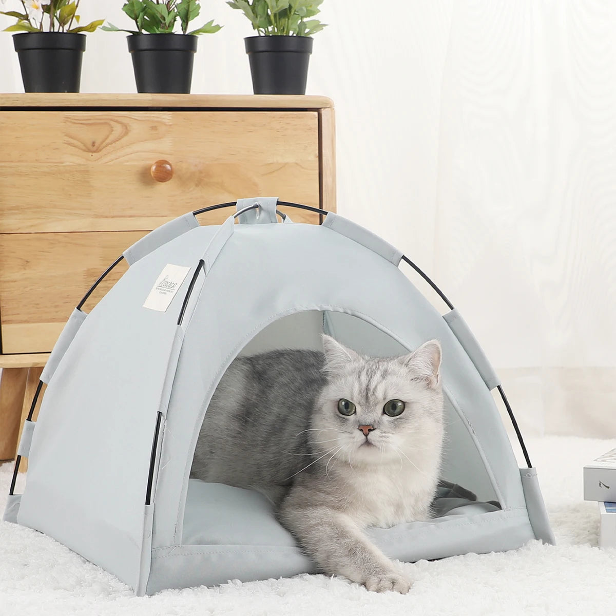Cat Tent Bed: Cozy Supplies for Feline Comfort