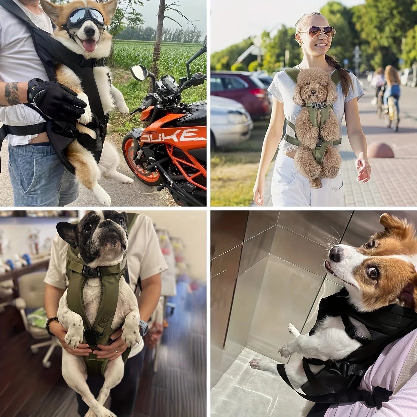 Adjustable Hands-Free Pet Carrier Backpack for Small to Medium Dogs - Front & Back Carry Options