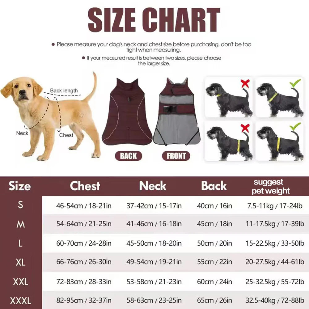 Dog coat size chart with measurements and illustrations