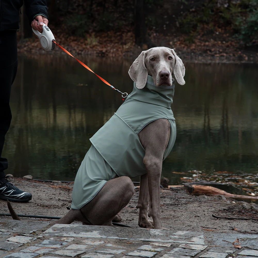 Waterproof Puppy & Dog Raincoat – Lightweight Pet Jacket with Hood, Leash Hole & Reflective Safety Strips