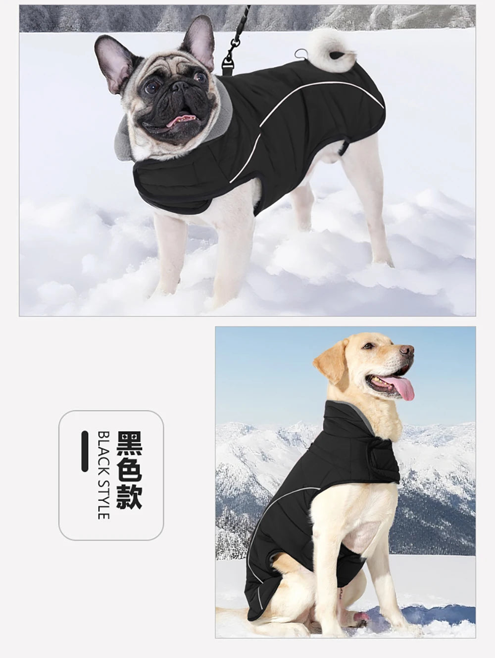 Waterproof Reflective Winter Dog Coat – Warm Insulated Outdoor Jacket for Medium & Large Breeds