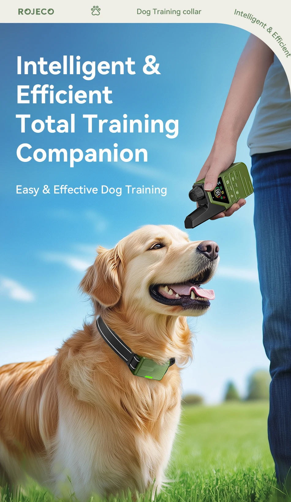 Rechargeable Dog Training Collar – Waterproof Shock, Vibration & Beep Modes with Remote