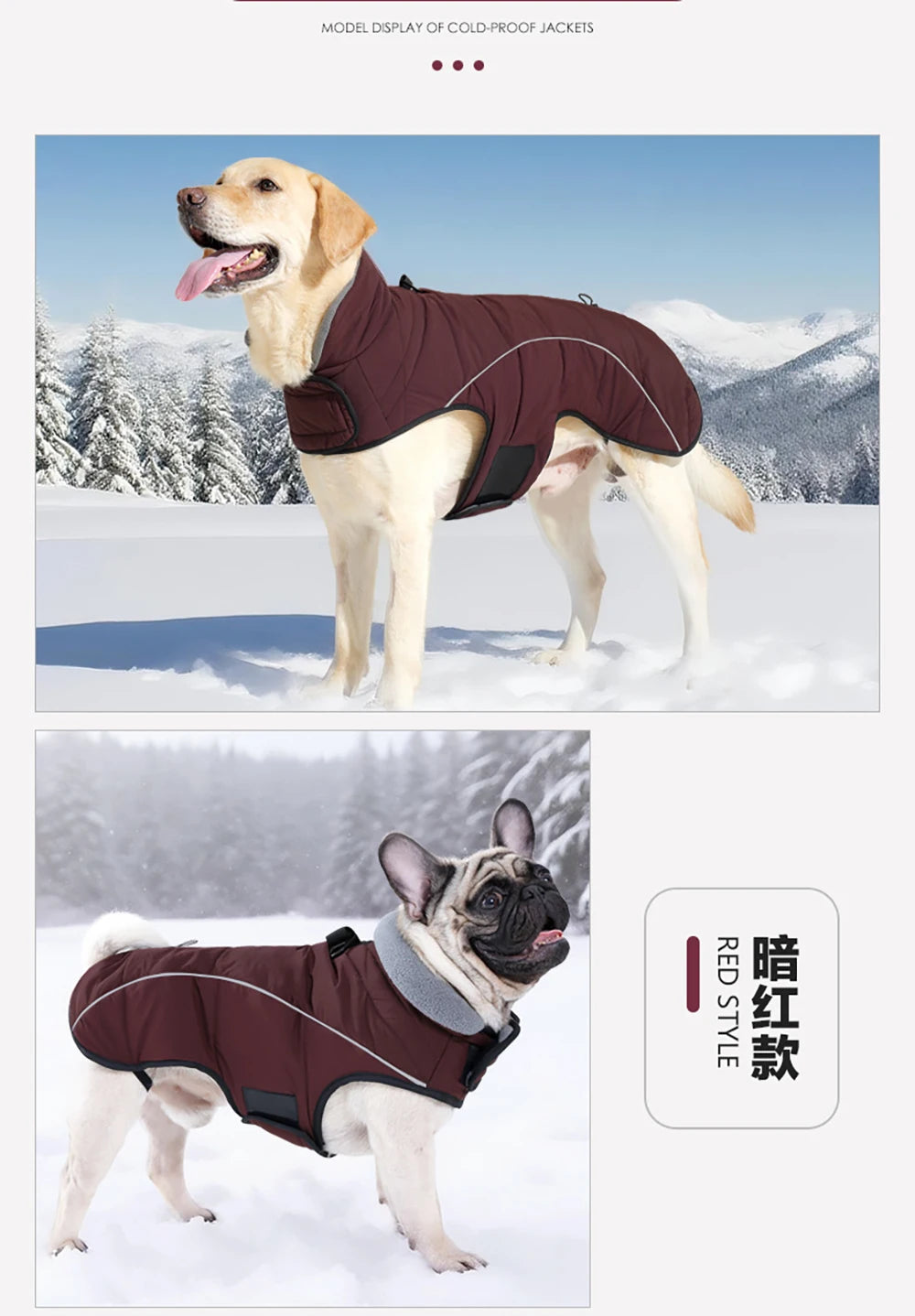 Waterproof Reflective Winter Dog Coat – Warm Insulated Outdoor Jacket for Medium & Large Breeds
