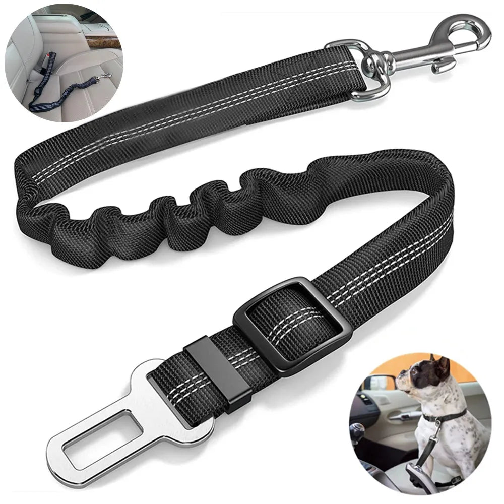 Strap for Dogs