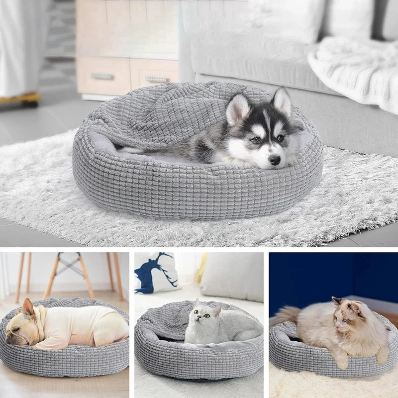 Collage of a gray pet bed with dogs and cats in a home setting