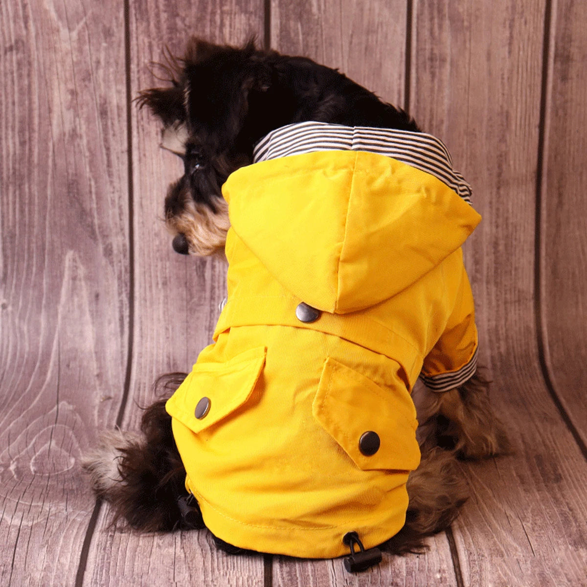 Stylish Waterproof Dog Raincoat