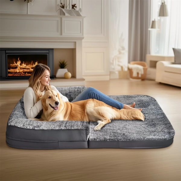 Happy dog on bed