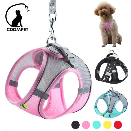 Adjustable Pet Harness Set