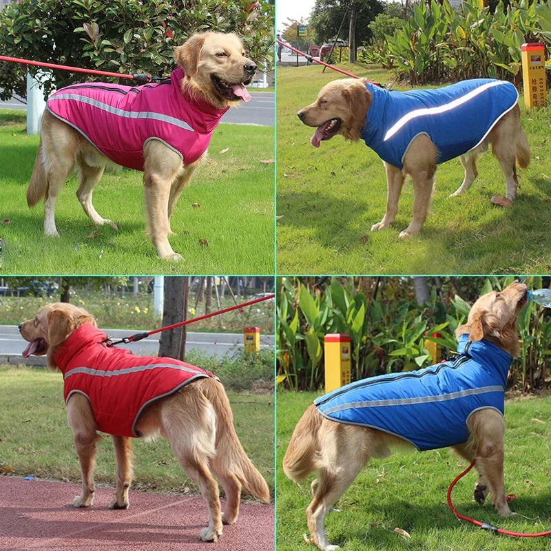 Waterproof Winter Dog Jacket – Warm, Padded & Reflective Coat for Medium to Large Dogs