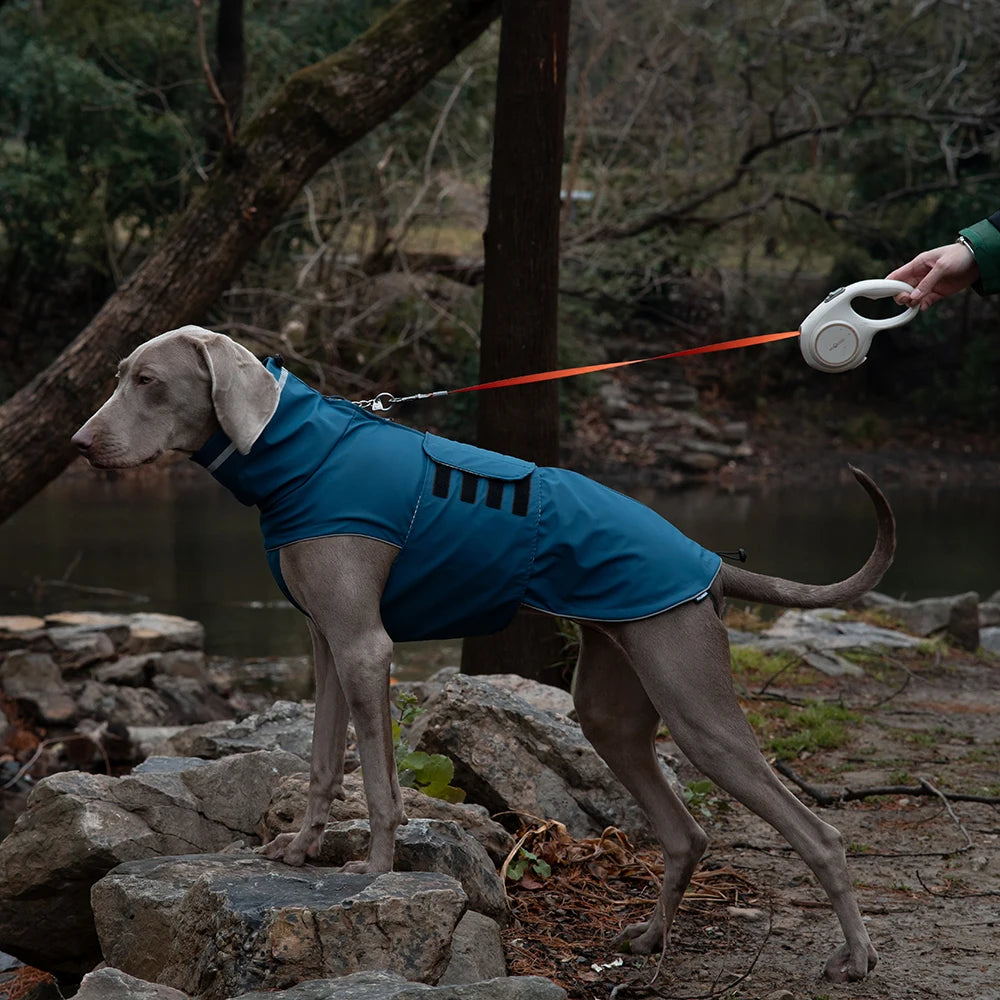 Waterproof Puppy & Dog Raincoat – Lightweight Pet Jacket with Hood, Leash Hole & Reflective Safety Strips