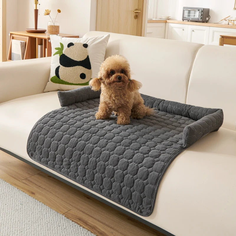 Small dog sitting on a gray pet bed on a white couch in a living room.